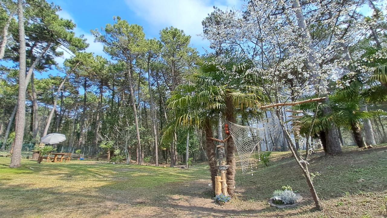 Villa Barbara Fra I Pini Λινιάνο Σαμπιαντόρο Εξωτερικό φωτογραφία
