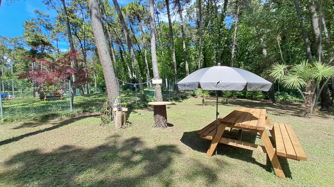 Villa Barbara Fra I Pini Λινιάνο Σαμπιαντόρο Εξωτερικό φωτογραφία