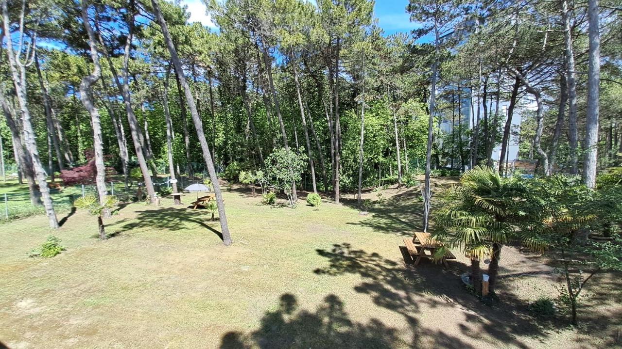 Villa Barbara Fra I Pini Λινιάνο Σαμπιαντόρο Εξωτερικό φωτογραφία